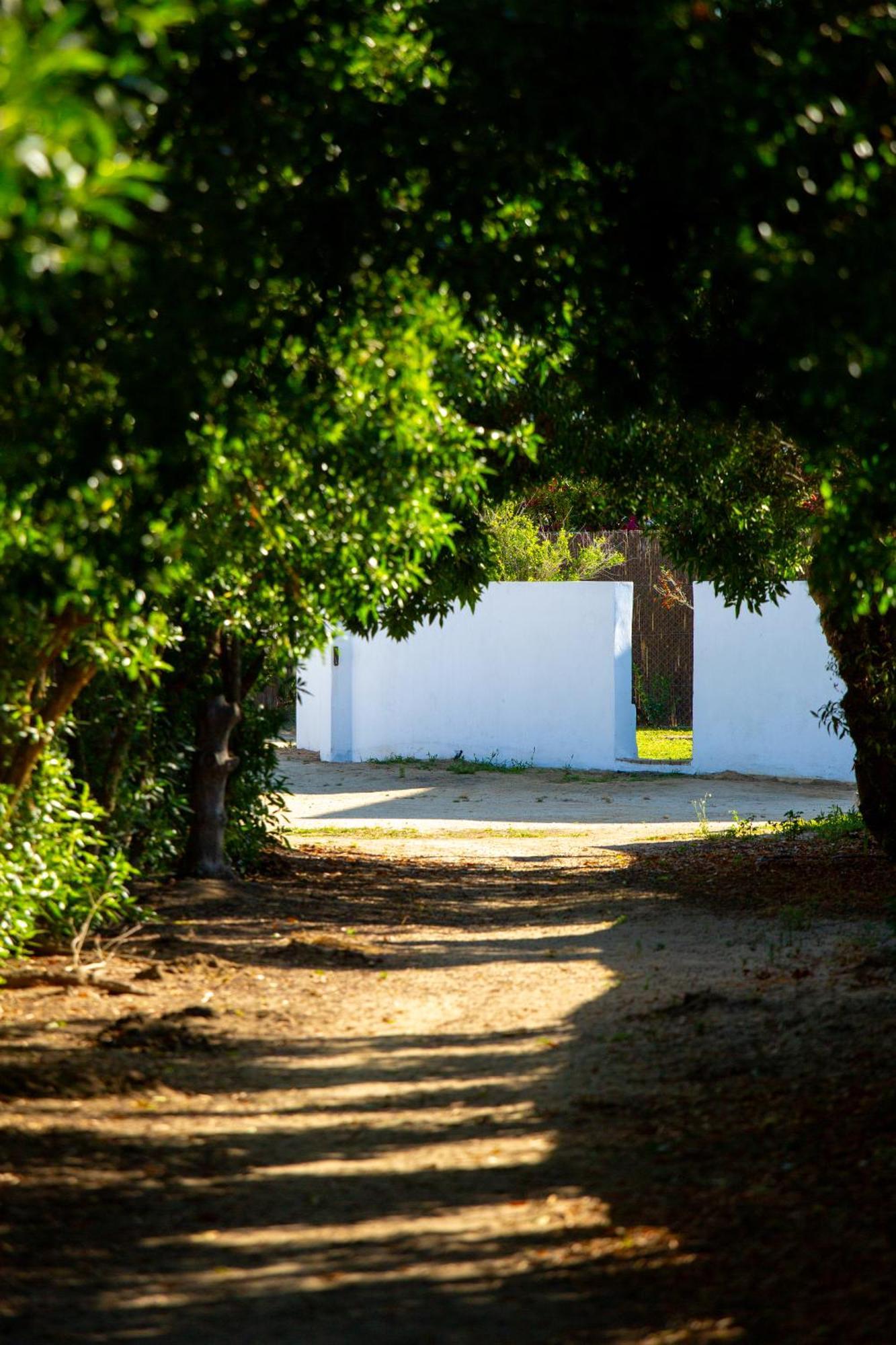 Casara Dos - 2 Dormitorios - Torre Con Acceso Privado A La Playa De Zahora Kültér fotó